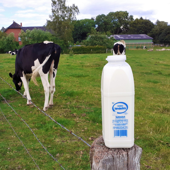 Bio-Vollmilch aus Großbarkau-> 1 Liter - 1,69 €